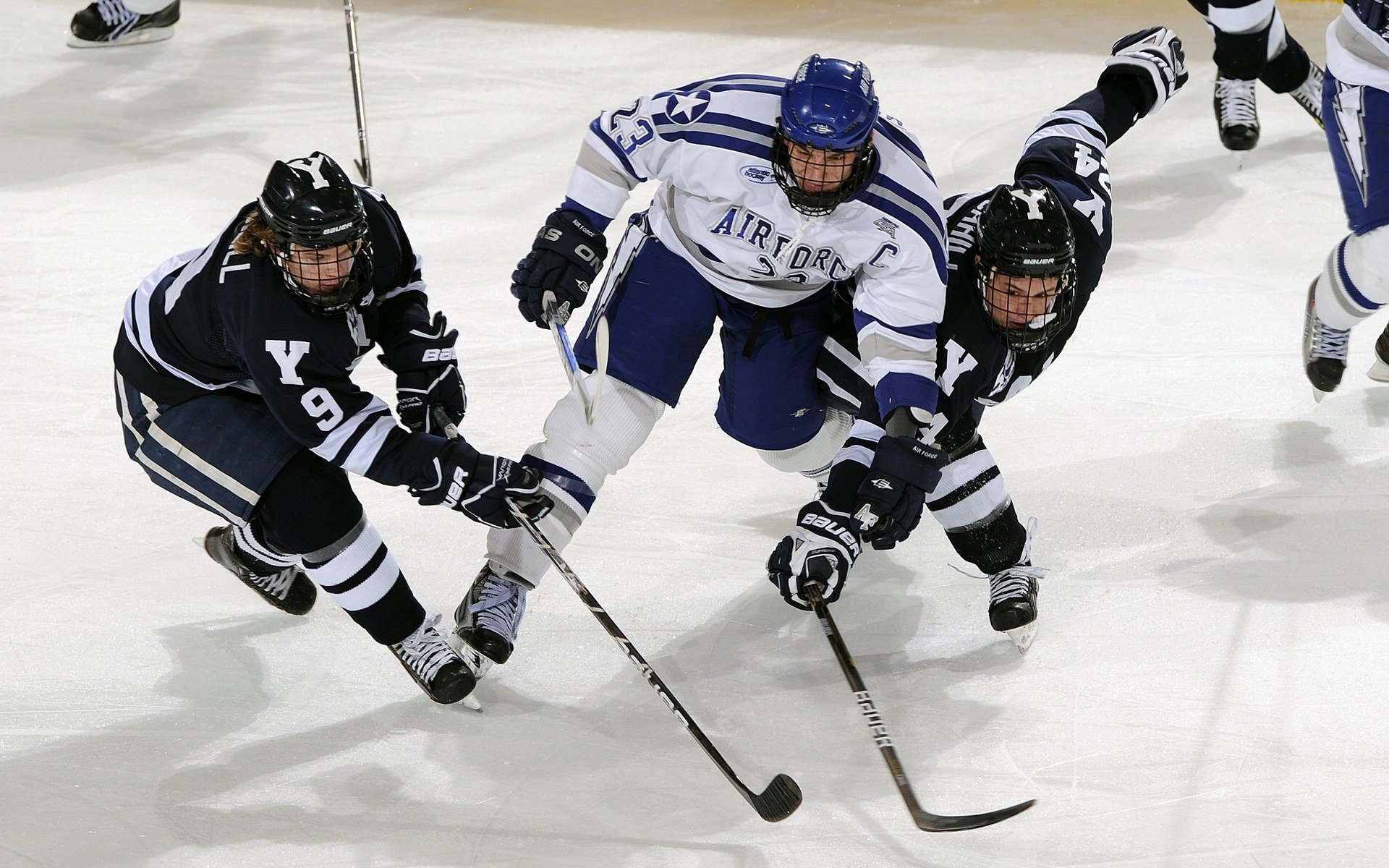 _鹈鹕再创新高，队员齐头并进_，鹈鹕队百度百科